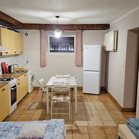 Apartament Drzewieckiego *